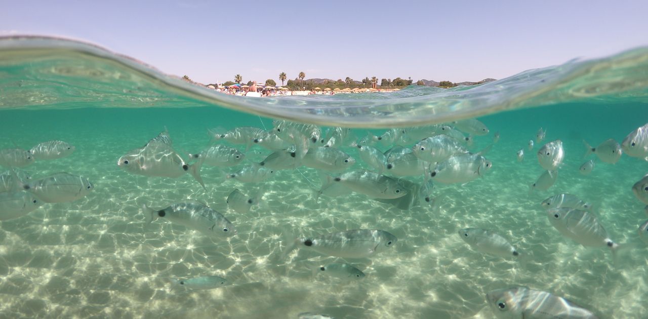 Cosa Vedere In Un Weekend A Cagliari E Dintorni Mare Natura Cultura