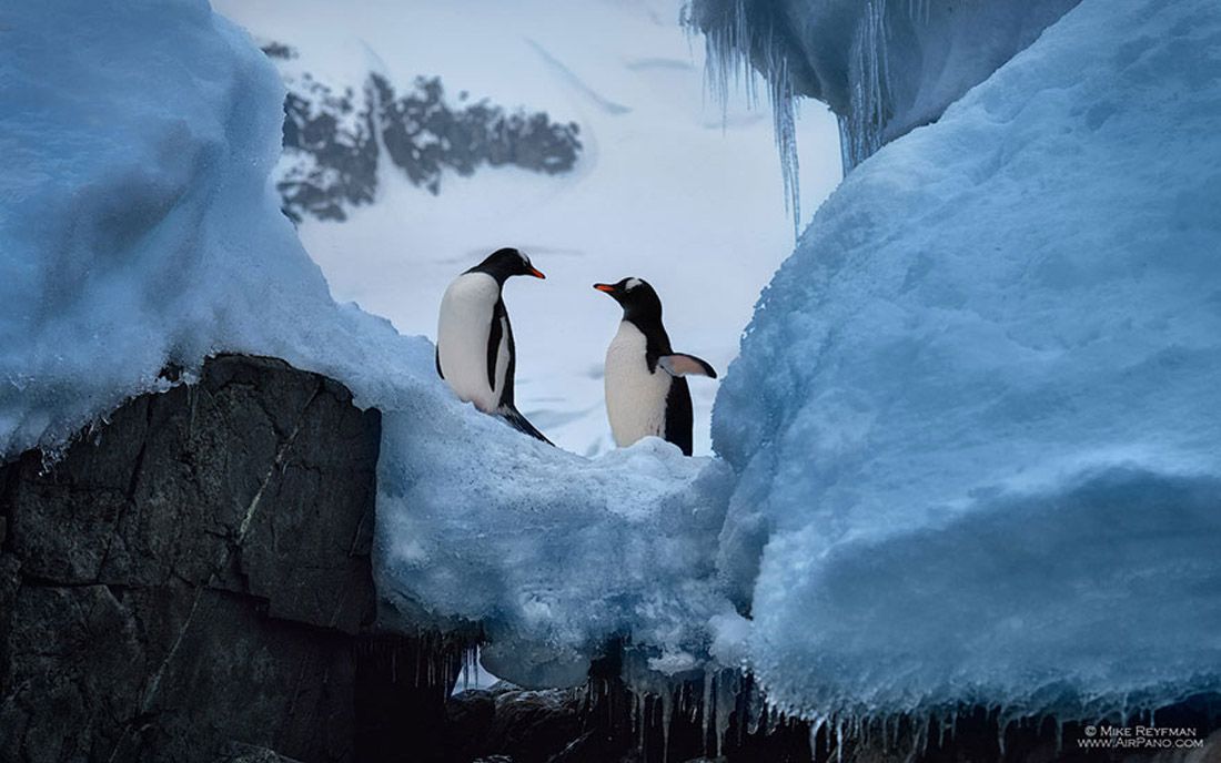 Antartide: una terra estrema ma meravigliosa - immagine 11