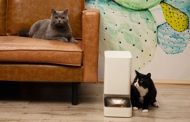 Con le ciotole hi-tech di Xiaomi la smart home è a misura di cane e gatto