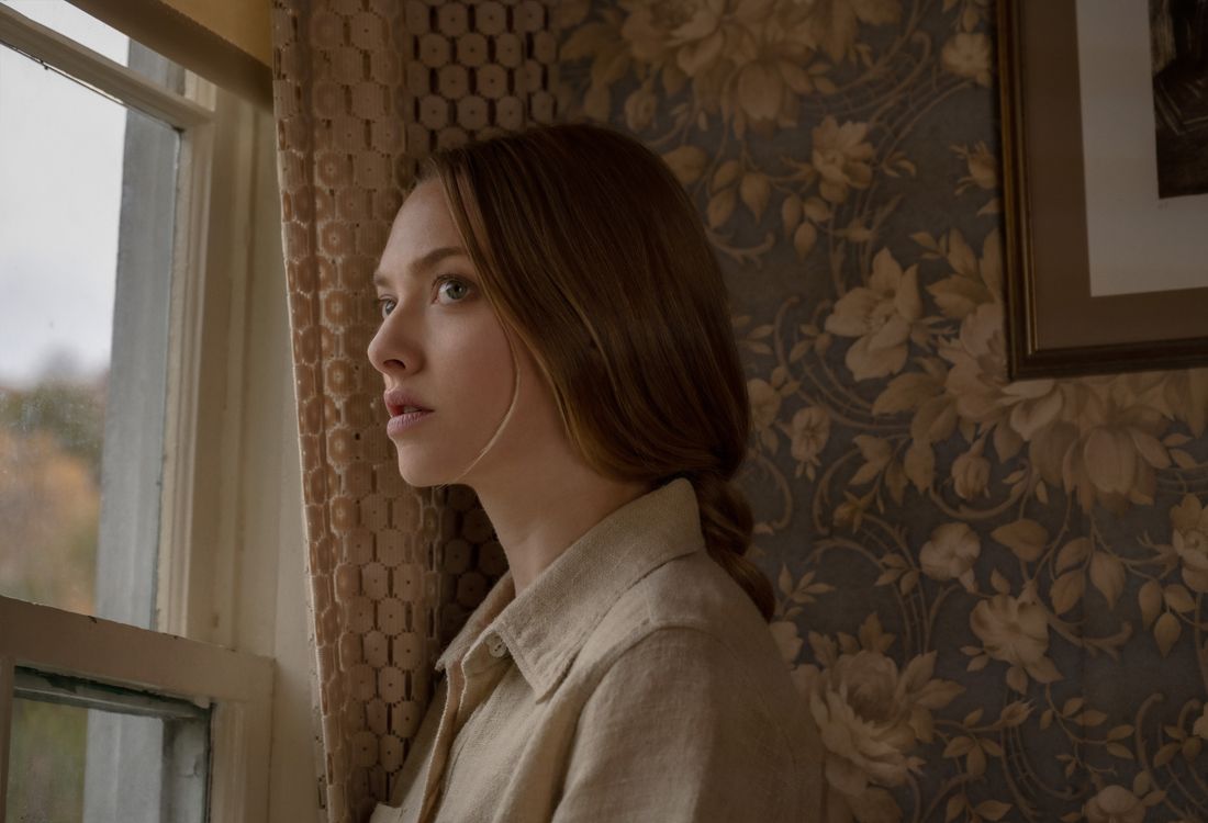 L&#8217;apparenza delle cose, il thriller con Amanda Seyfried su Netflix- immagine 2