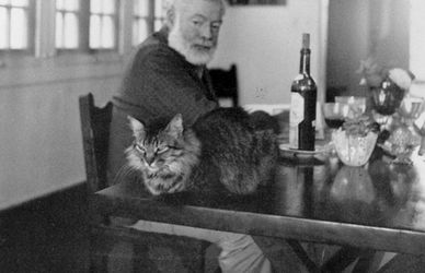 Ernest Hemingway, le sue frasi più memorabili