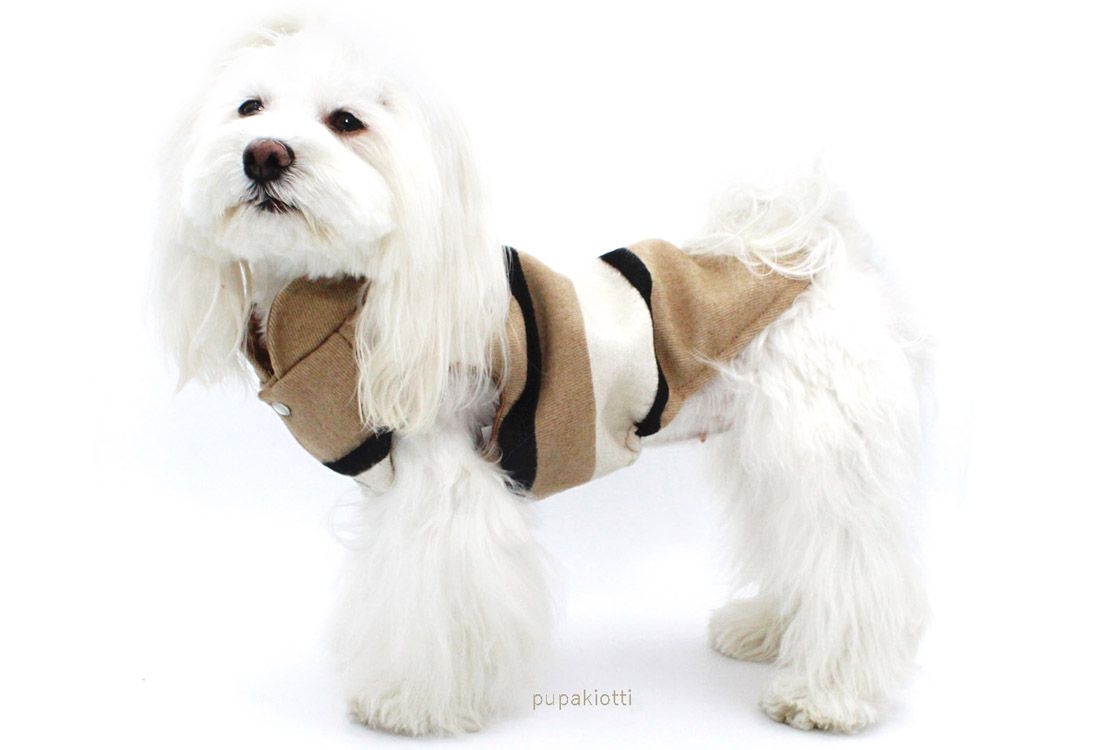 Moda per cani: i must per l&#8217;autunno/inverno 2021/22- immagine 1
