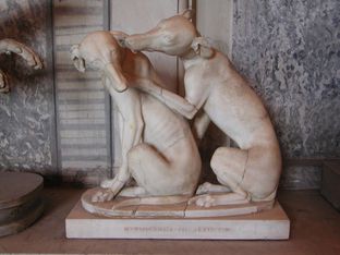 In mostra alla Reggia di Venaria la storia dei cani nell’arte