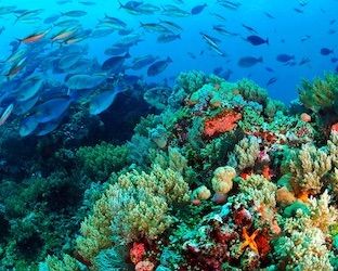Giornata Mondiale degli Oceani 2023: eventi e iniziative a tutela dei nostri mari