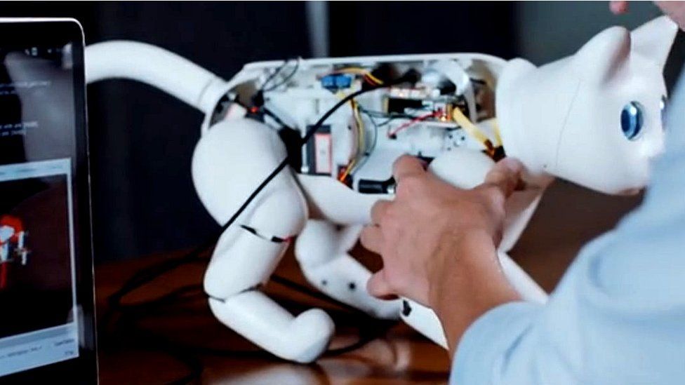 MarsCat Elephant Robotics ces 2020 robot MarsCat Elephant Robotics ces 2020 ces las vegas 2020 novita elettronica tecnologia
