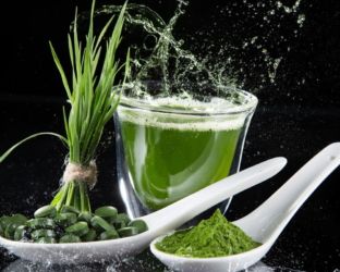 Alga spirulina: l’integratore che dà una marcia in più?