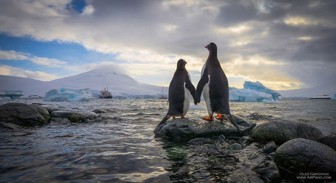 Antartide: una terra estrema ma meravigliosa - immagine 2