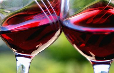 San Valentino 2020: i vini giusti per il brindisi