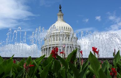 A Washington, tra natura, cultura, politica ed economia