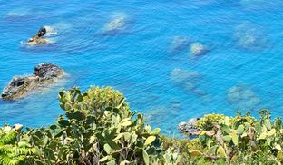 Riviera dei Cedri: mare, agrumi e peperoncino