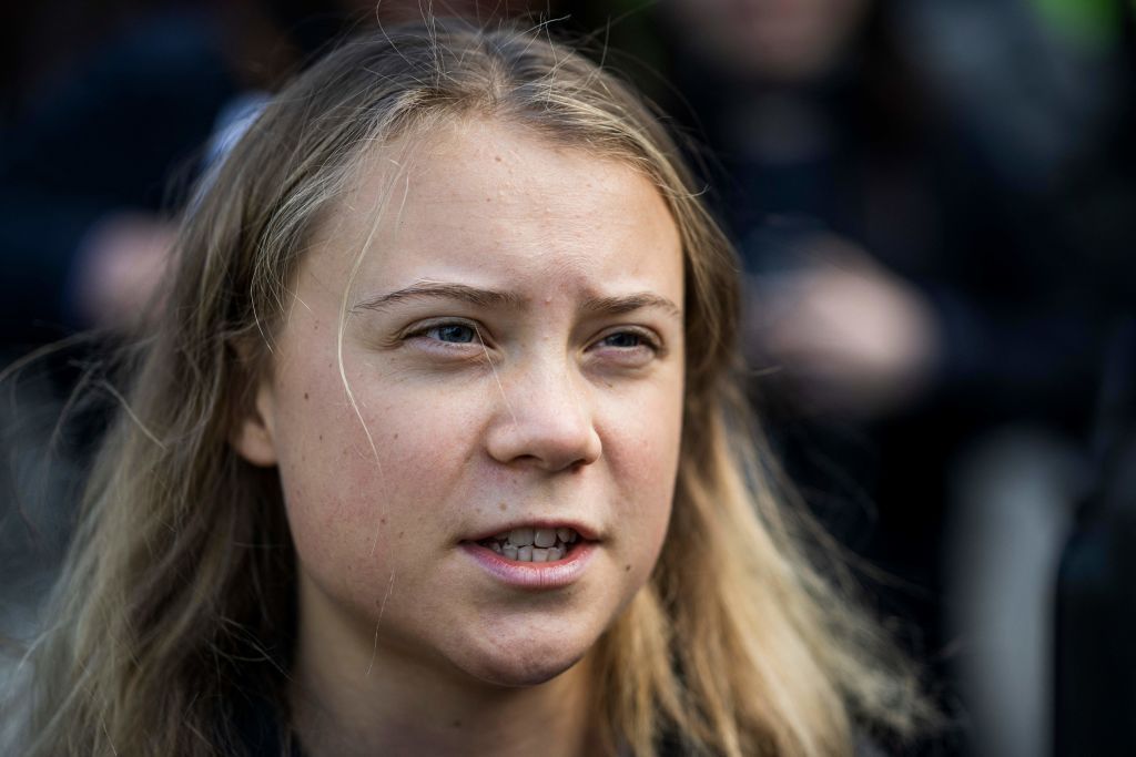 I 20 anni di Greta Thunberg, tra surriscaldamento globale e bulli misogini - immagine 3
