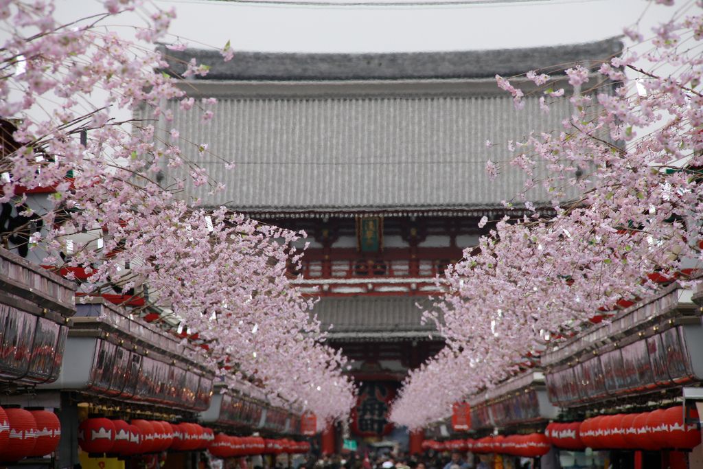 Al tempio di Senso-ji, sfidando la sorte- immagine 1