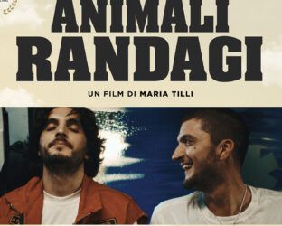 ‘Animali randagi’: la clip del film con Andrea Lattanzi e Giacomo Ferrara