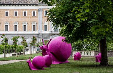 Ai Musei Reali di Torino, una stupefacente visione di inedite forme di vita