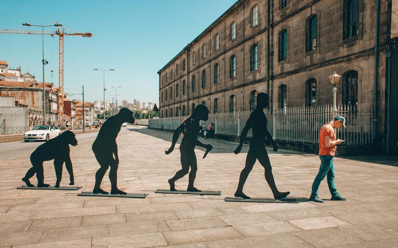 La Dieta "anti-infiammatoria": I 7 Cibi Che Spengono Il Dolore Articolare - Foto 11