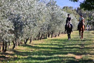 Arte e vino in Toscana