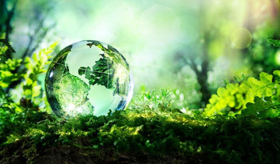 Giornata mondiale dell’ambiente 2020 - immagine 1