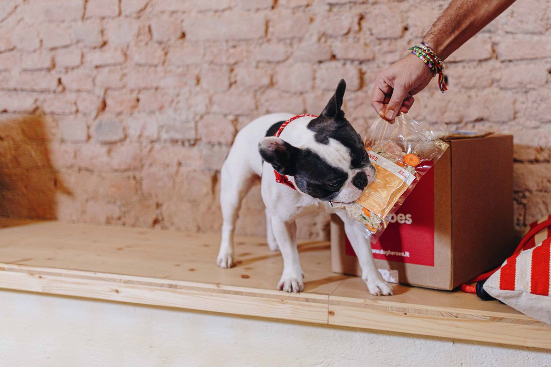 Ricette-Dog-Heroes-startup-animali-domestici-cani-gatti