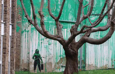 Un nuovo Banksy a Londra: il video dell’albero-effetto ottico apparso il giorno di San Patrizio
