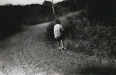 Gli scatti sfuggenti di Daido Moriyama