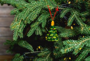 Natale 2019: l’albero più sostenibile è quello vero