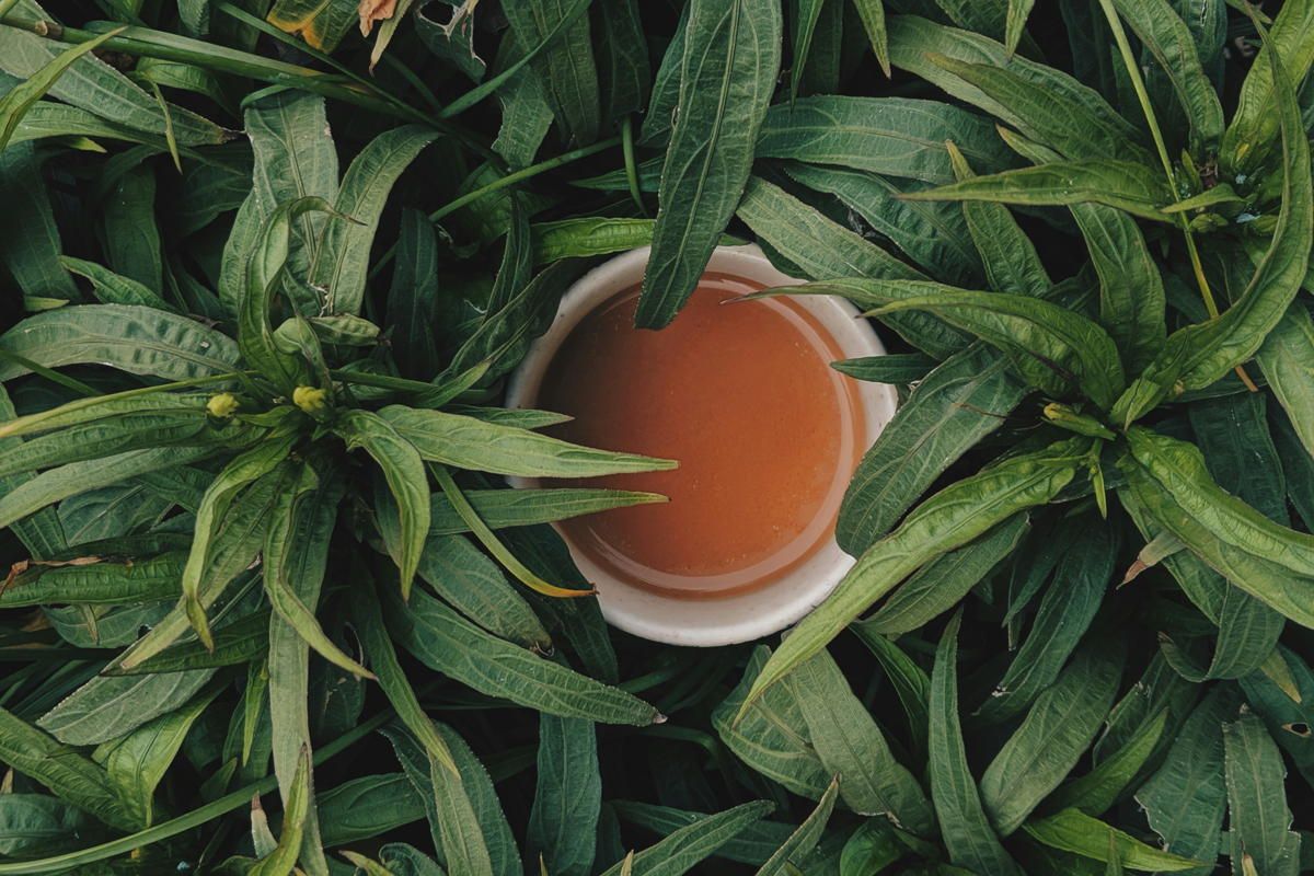Tutto sul puer: il tè cinese post-fermentato che fa bene alla salute- immagine 2