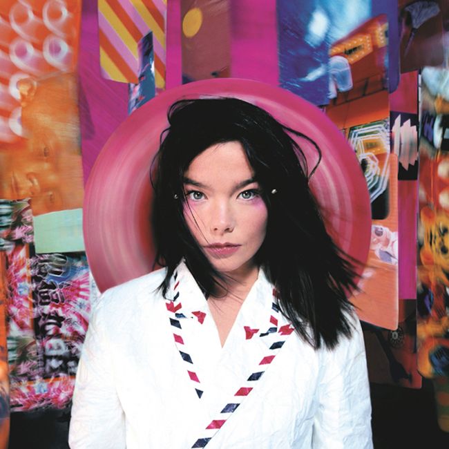 Björk e la sua arte in mostra al MoMA di New York - immagine 3
