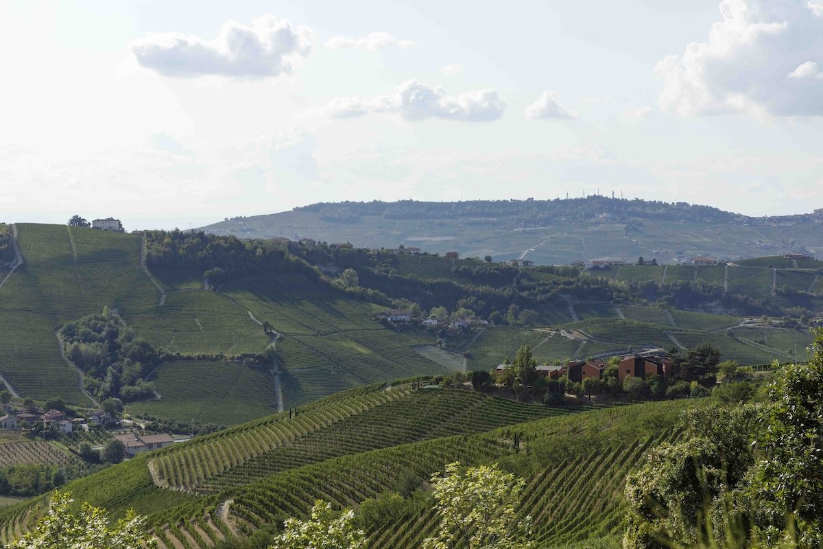 Langhe