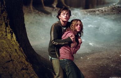 Animali Fantastici: 15 curiosità sul prequel di Harry Potter