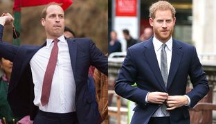 Harry e William davanti Lady Diana: intesa di cravatte