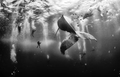 Le 10 foto più belle del National Geographic Traveler Photo Contest 2015