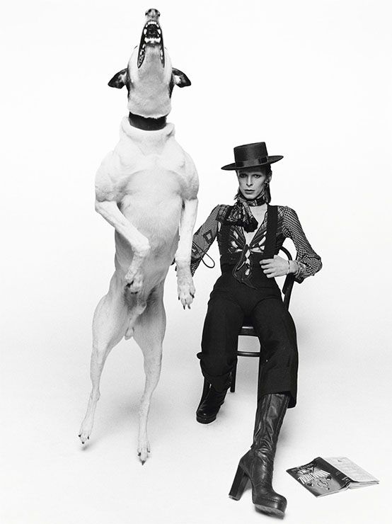 Terry O&#8217;Neill. Icons - immagine 9