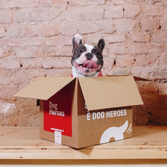 Dog-Heroes-startup-animali-domestici-cani-gatti