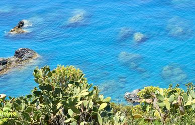 Riviera dei Cedri: mare, agrumi e peperoncino