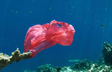 Emergenza oceani: occhiali contro la plastica