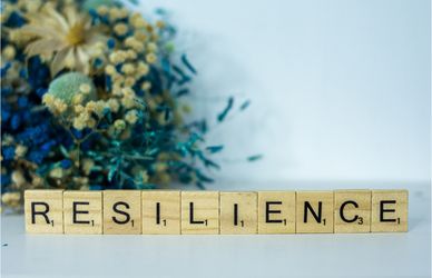 Per approfondire: Resilienza, occhio a non rovinarci una parola importante