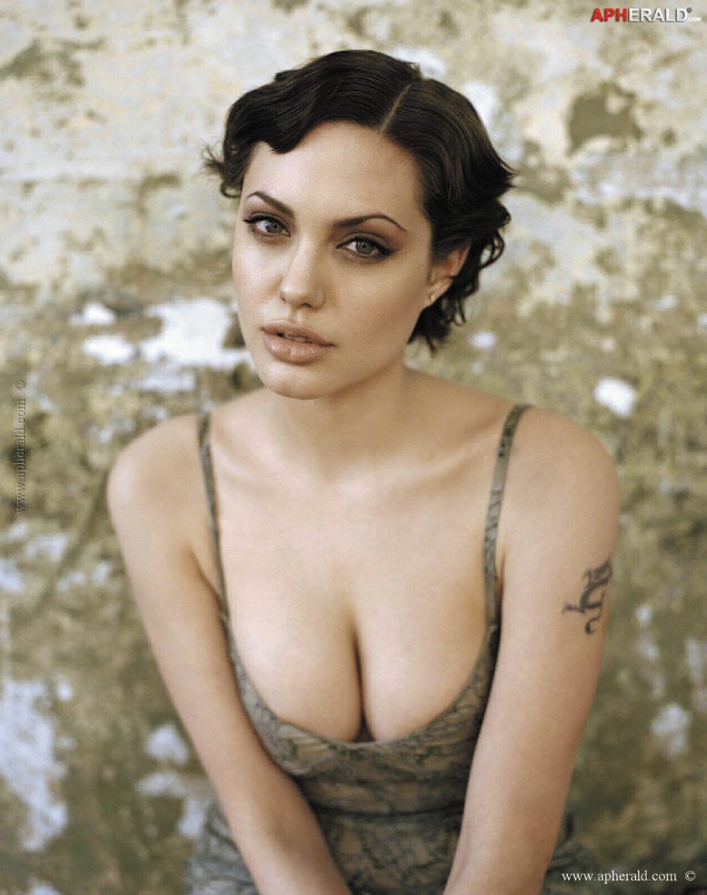 star polizze corpo sexy star assicurazioni celebrity Angelina Jolie