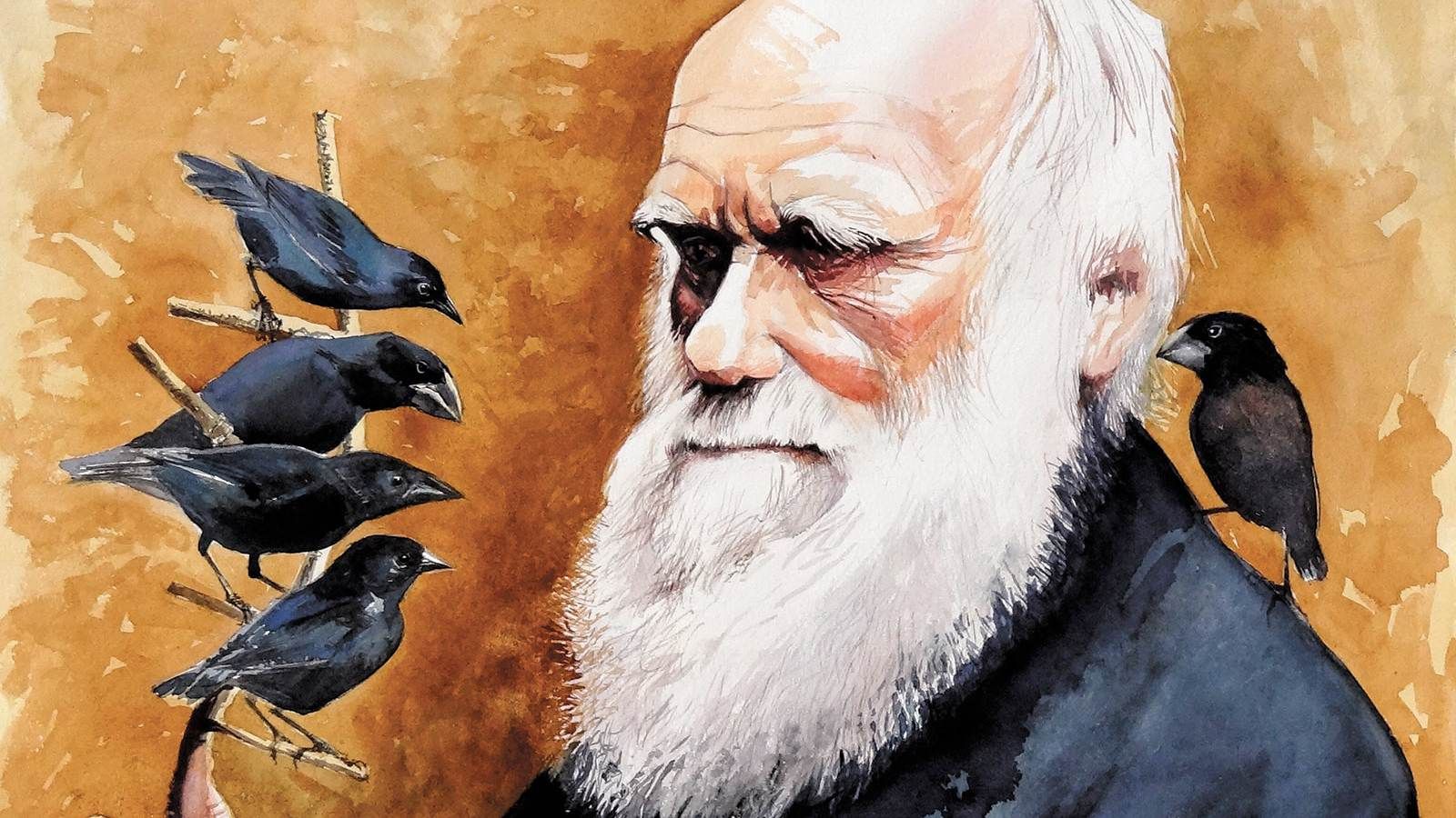 Darwin Day 2021, le frasi più note dello scienziato britannico- immagine 1
