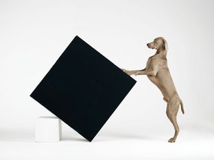 William Wegman: i suoi cani protagonisti di una mostra fotografica