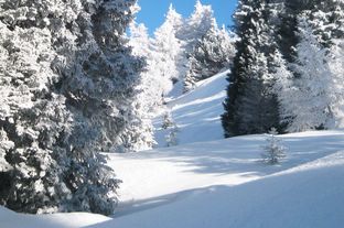 Trentino, sciare e stappare tra le Dolomiti