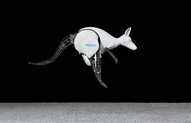 Dal polipo al canguro: la robotica ispirata dal mondo animale