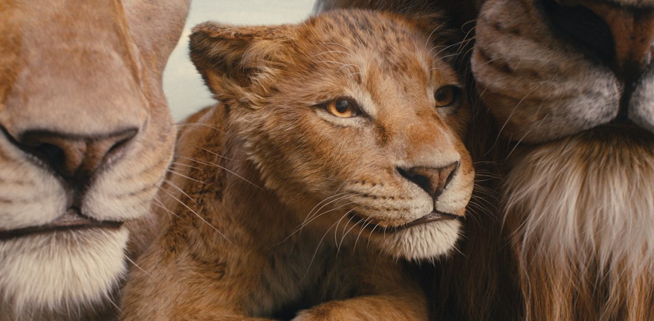 Mufasa Il Re Leone Trama Uscita Recensione Doppiatori Film Style