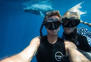 North Sails: vinci un viaggio alle Hawaii e immergiti con gli squali!