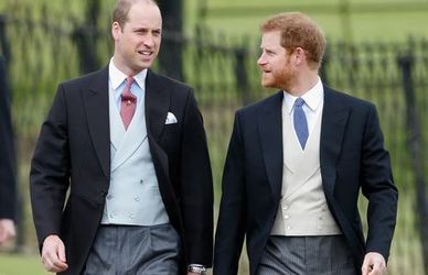 Harry e William: sfida di stile a colpi di abiti