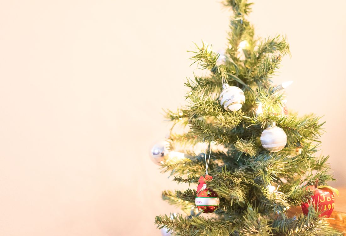 10 idee per un albero di Natale sostenibile - immagine 2