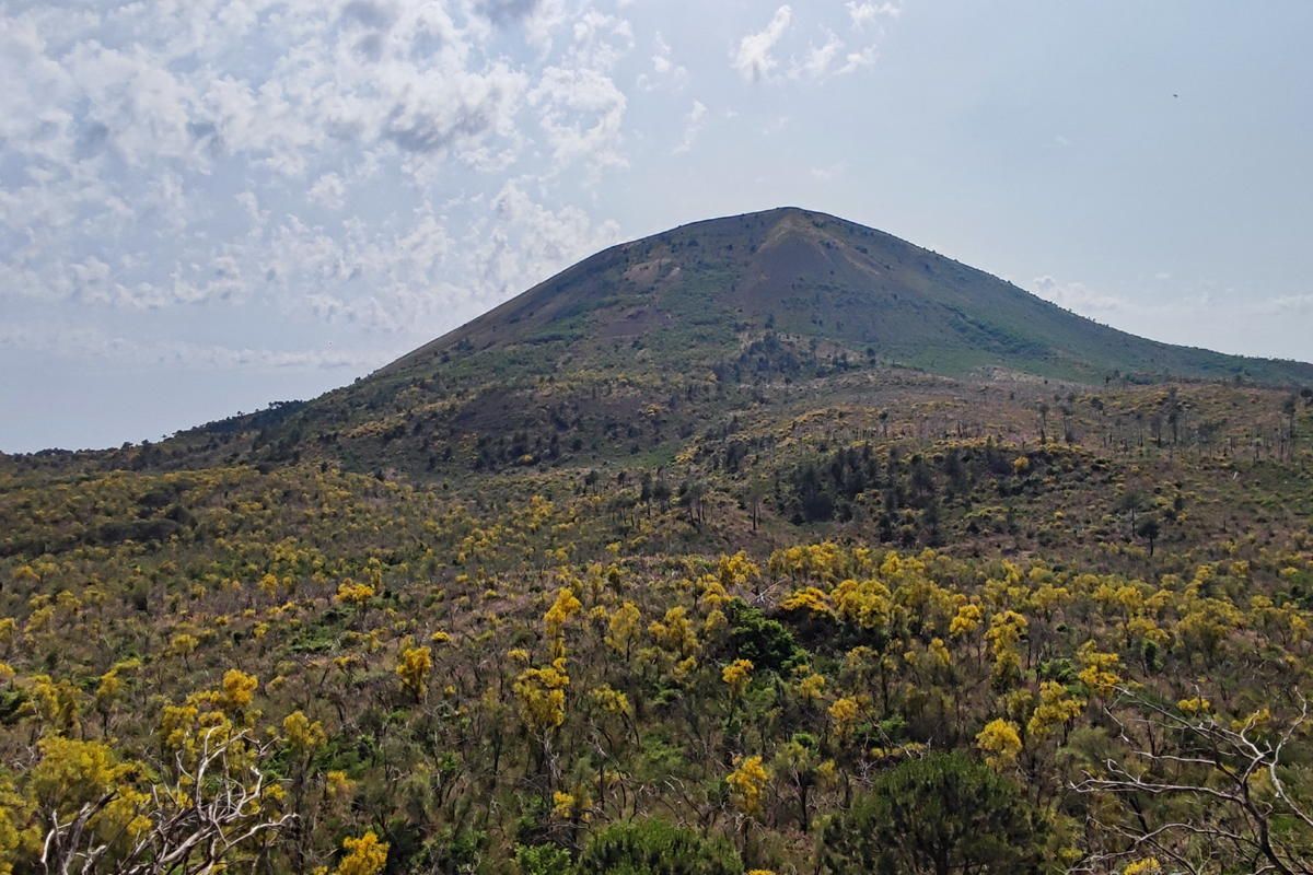 Vacanze a Pompei? Scavi, trekking e mare (e un hotel di design)- immagine 5