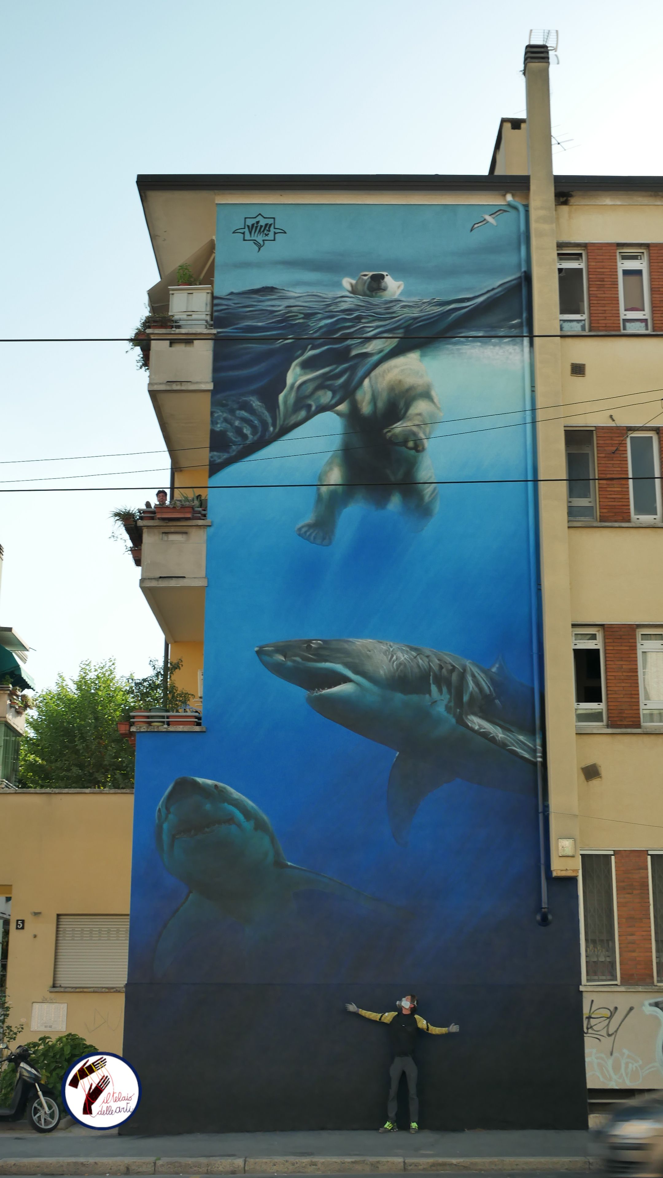 Gli squali sono arrivati anche a Milano- immagine 5