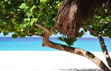 Alloggi insoliti in un’isola caraibica: lasciati tentare dalle sorprese di Aruba