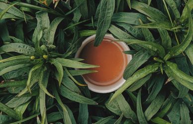 Tutto sul puer: il tè cinese post-fermentato che fa bene alla salute