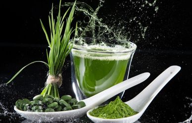 Alga spirulina: l’integratore che dà una marcia in più?